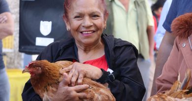 196 paquetes de aves de doble propósito en beneficio de productoras de diversas regiones del estado, que significan recursos por 632 mil 394 pesos, fueron entregados por el titular de la Secretaría de Agricultura y Desarrollo Rural de Hidalgo (Saderh), Napoleón González Pérez.