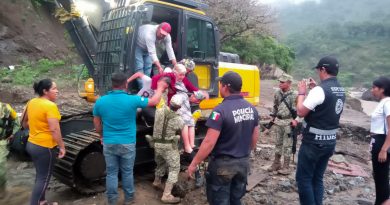 Apoyos en Chapula