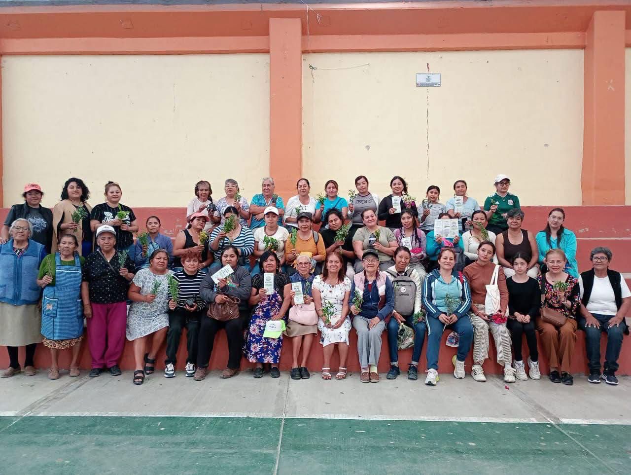 Mujeres comparten saberes sobre herbolaria en Hidalgo