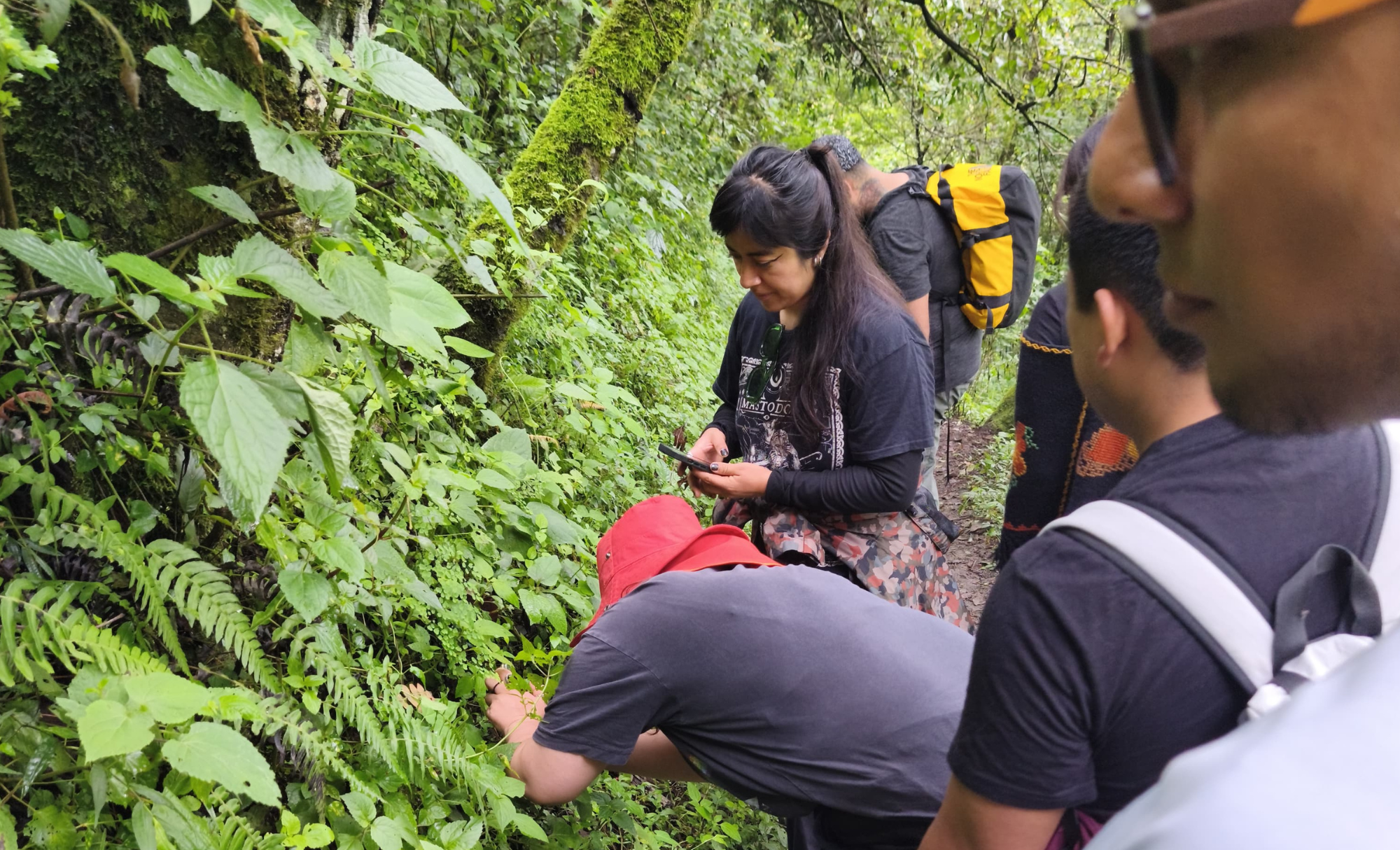 Llega el Festival Broto a Hidalgo en un viaje de arte y naturaleza