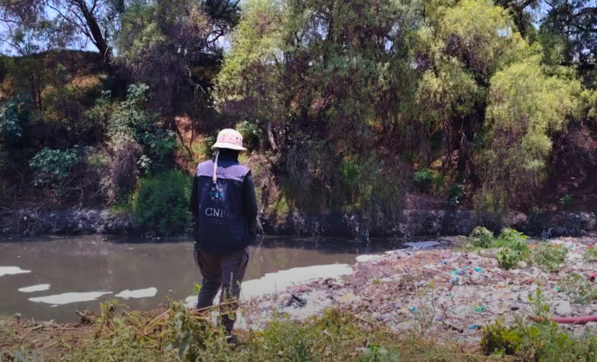 México concentra mujeres y niñas desaparecidas; epicentro regional de la crisis
