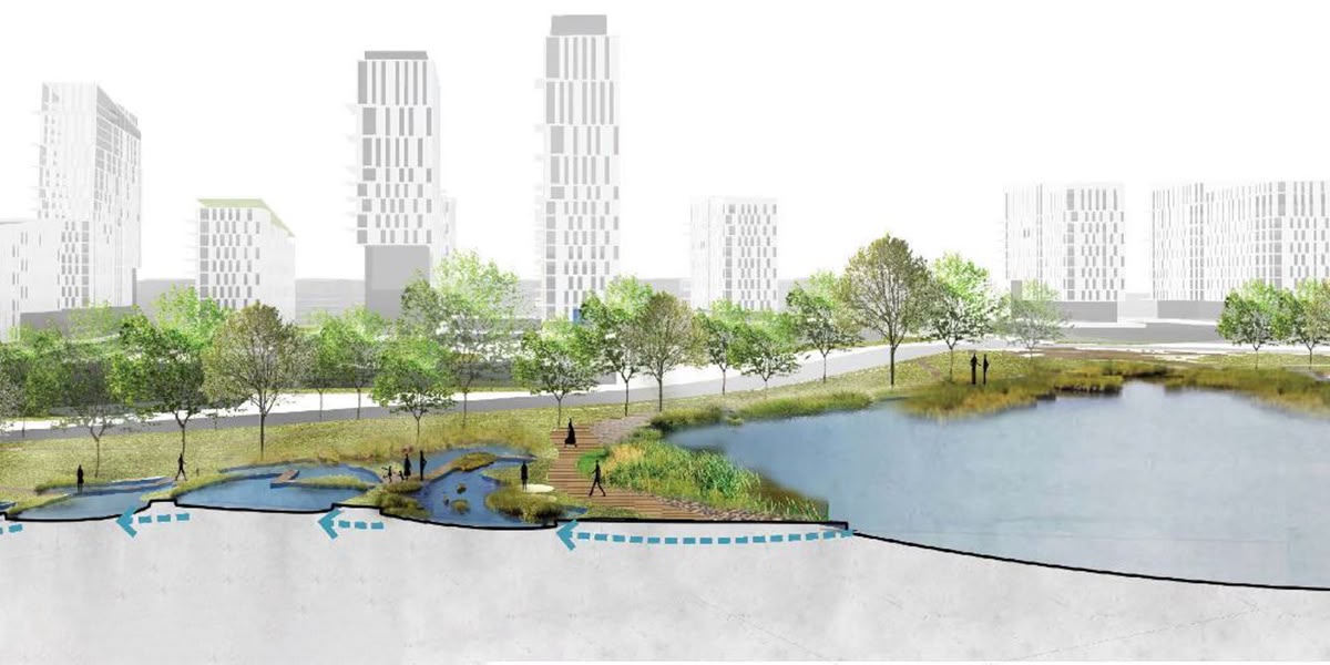 ¿Sabes qué son las Ciudades Esponja? Proyecto para prevenir inundaciones en Hidalgo