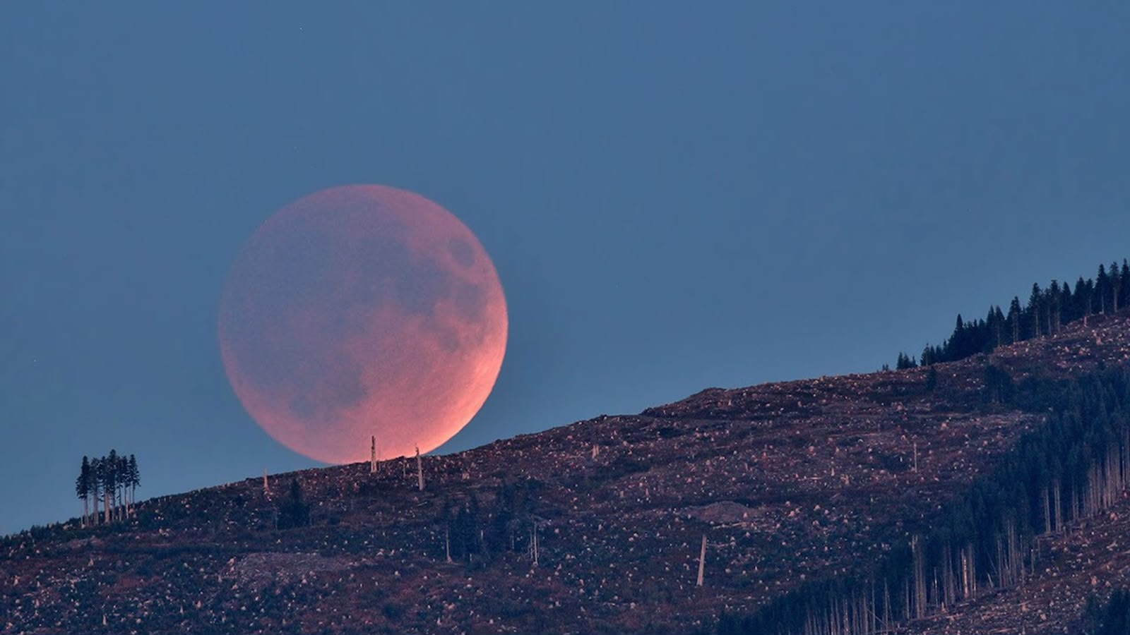 Guía astronómica de la NASA: Los grandes eventos que iluminarán el cielo en agosto