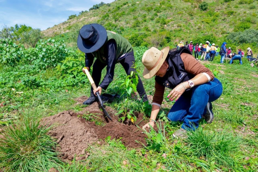 Arranca una nueva jornada en Puebla para recuperar los bosques de México