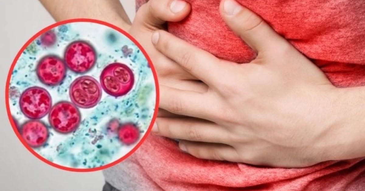 México confirma 33 casos de ciclosporiasis, pero descarta ser el origen