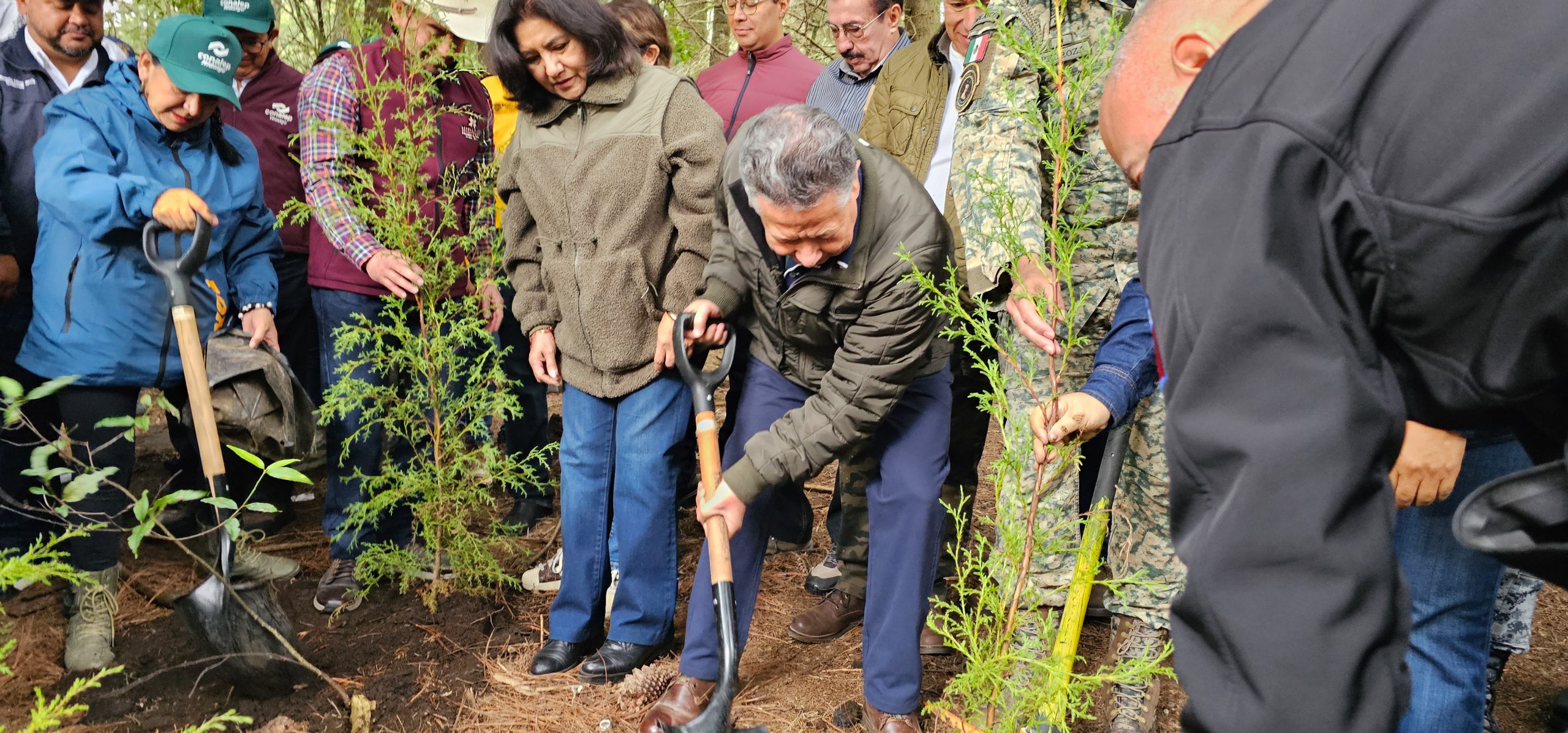 Hidalgo apuesta por sus bosques: entregan dos millones de plantas para reforestar los 84 municipios