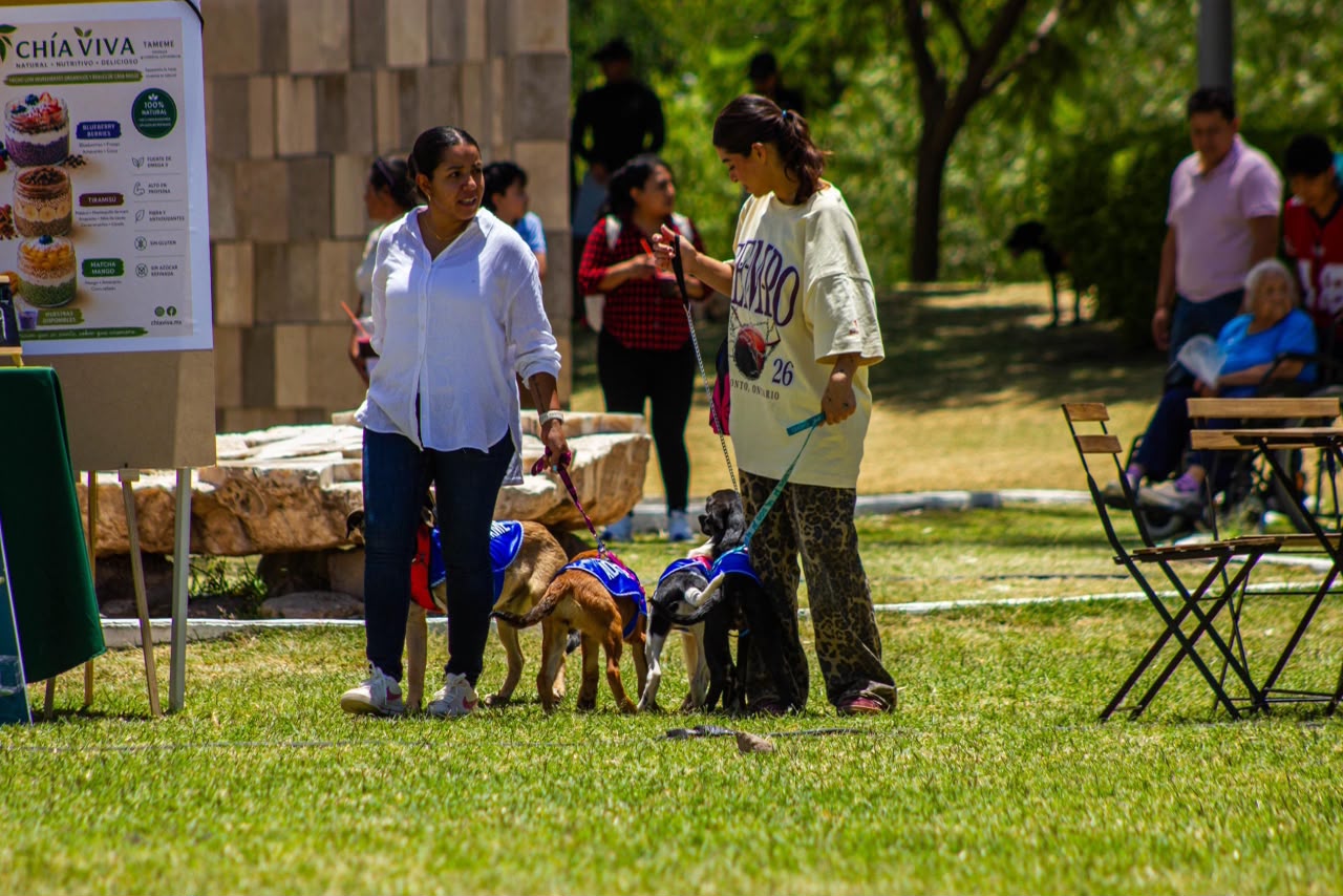 Acércate al 2° Adopta Fest de Puebla: te contamos los detalles