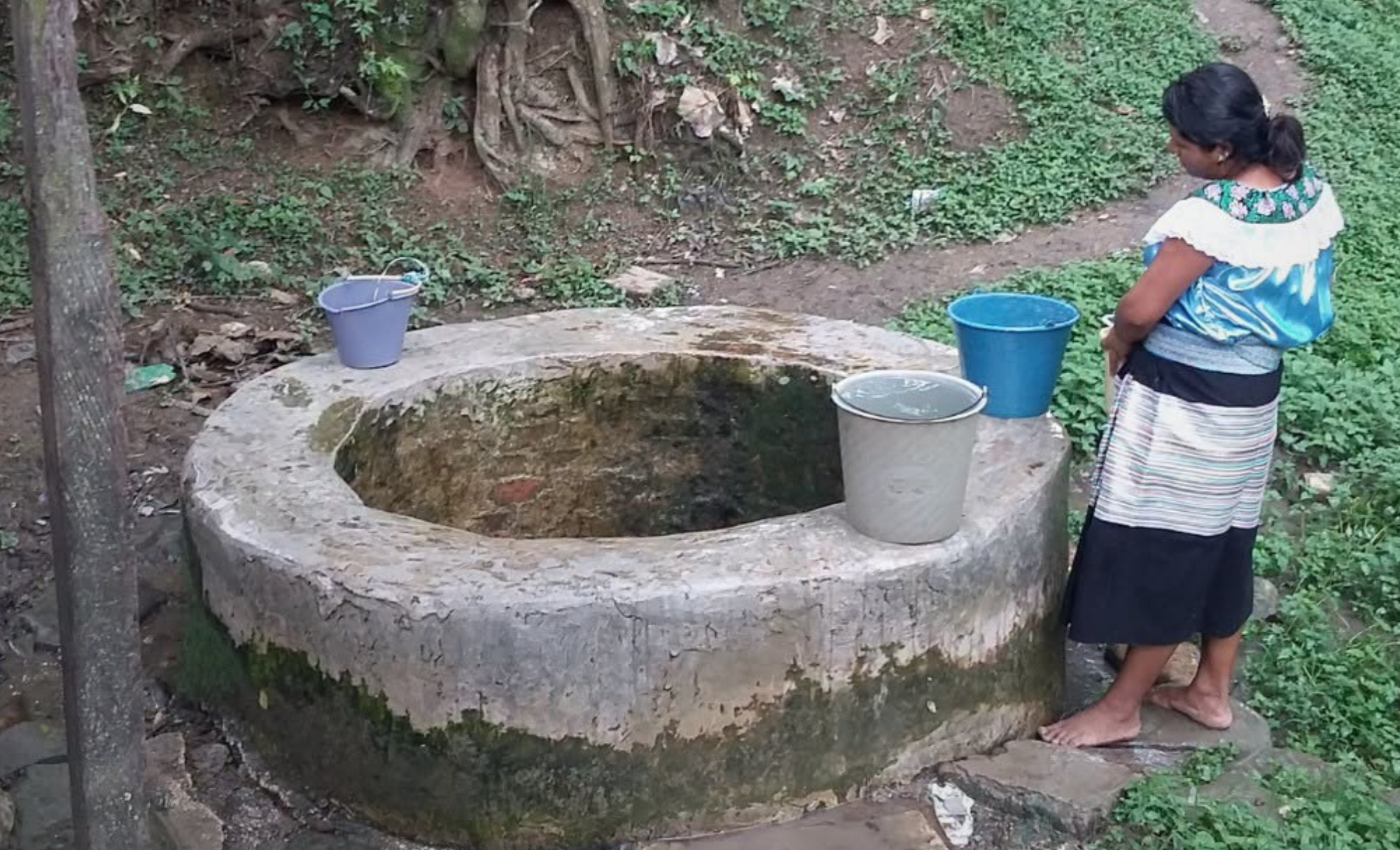 Buscaban agua para sus familias y terminaron multadas con 55 mil pesos: el conflicto de mujeres tzeltales en Chiapas