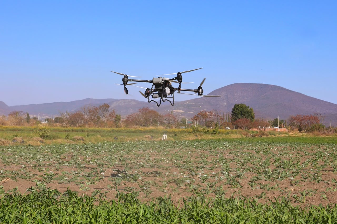 Drones llegan a Puebla: fumigan y mapean 40 hectáreas de amaranto