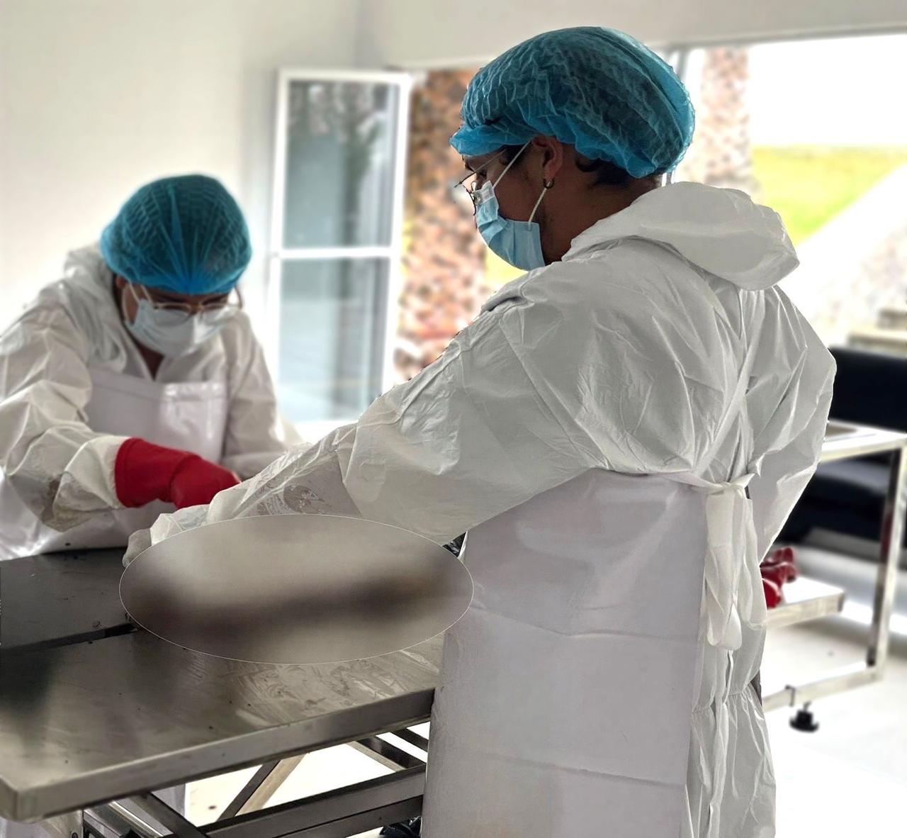 Puebla: Fortalece las investigaciones por crueldad animal con medicina veterinaria forense