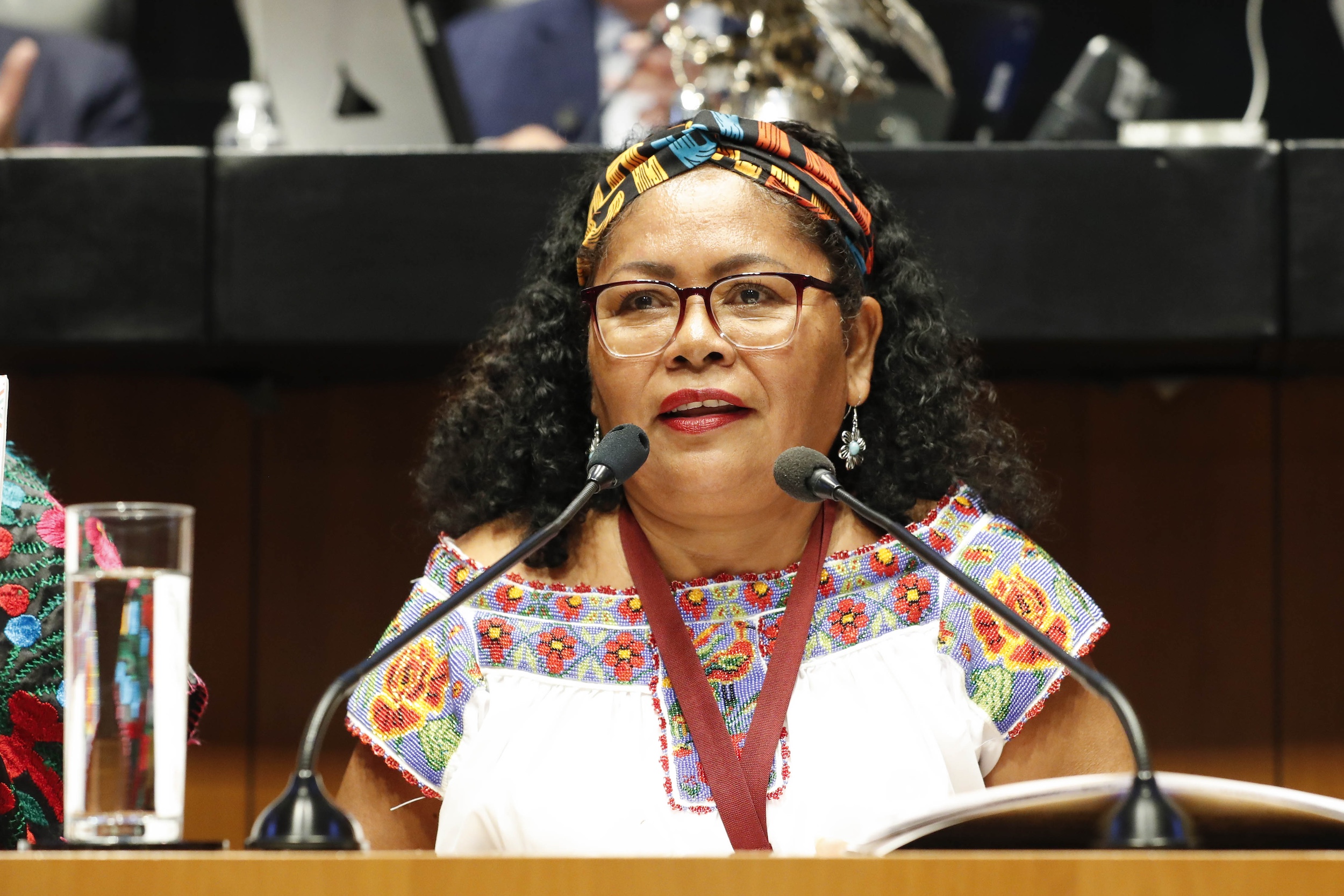 “Triplemente discriminadas”: activista Maribel Santiago Arellanes en el Senado