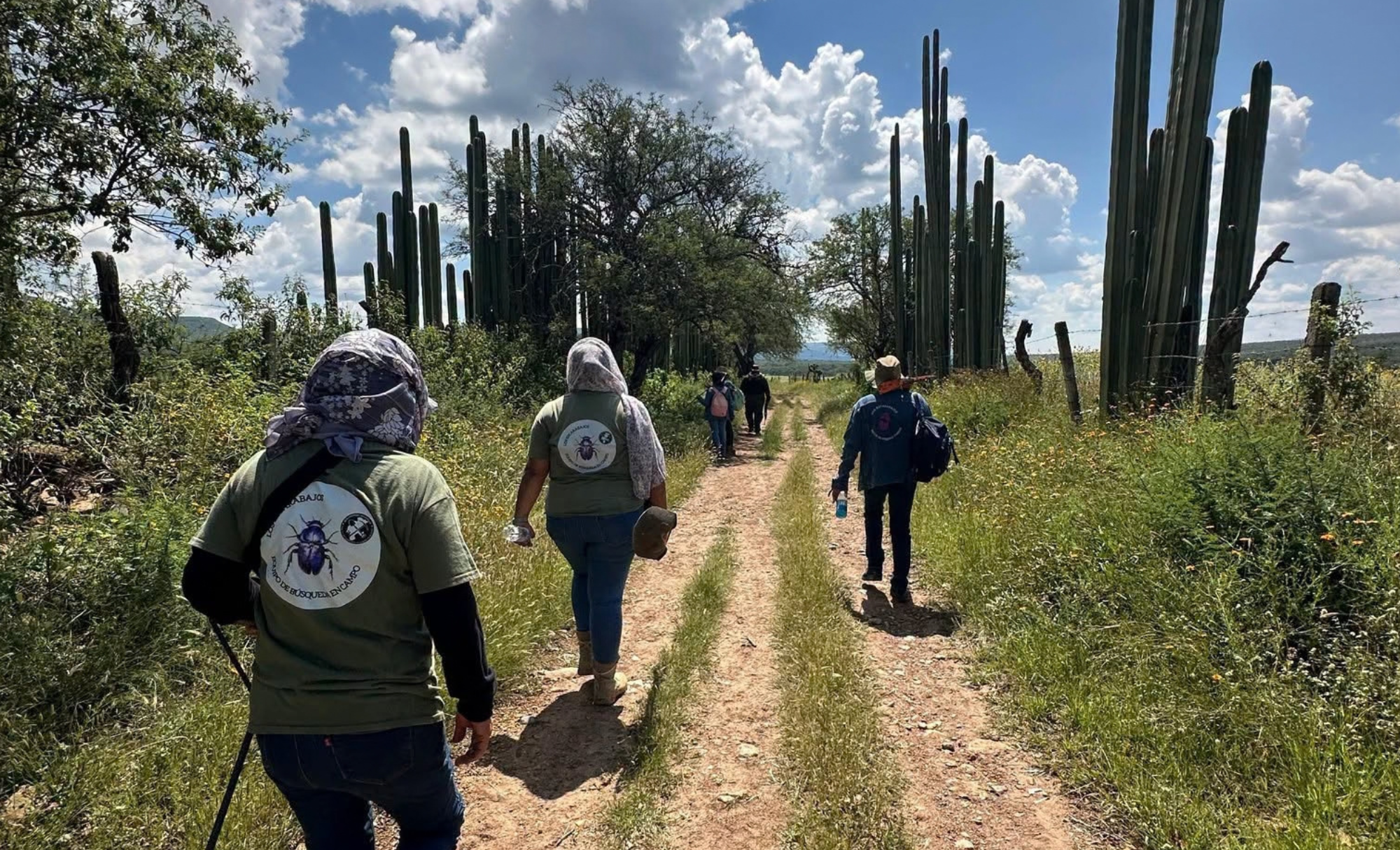 Mujeres buscadoras enfrentan desapariciones, asesinatos y ataques en México