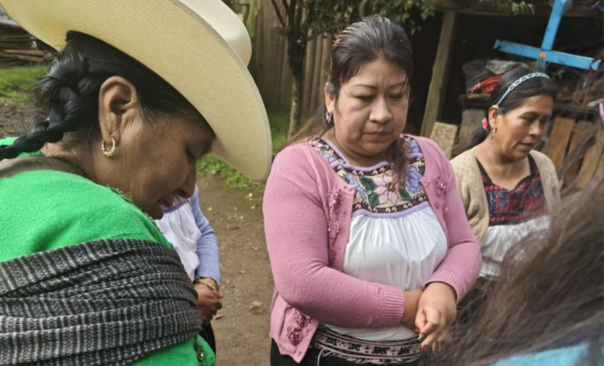 Acaxochitlán al frente: Combaten plagas y aseguran el grano junto a la UAEH