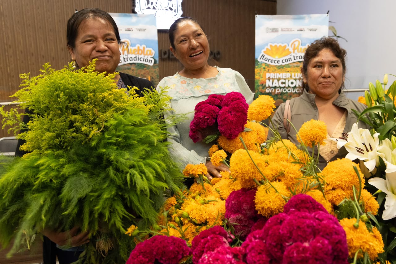 Puebla lidera la producción de cempasúchil en México con más de 9 mil 600 toneladas