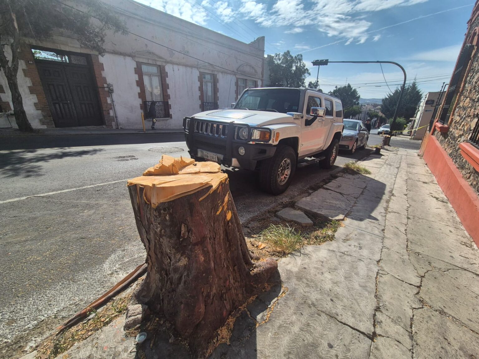 Pachuca y La Reforma derribaron más de 3 mil árboles