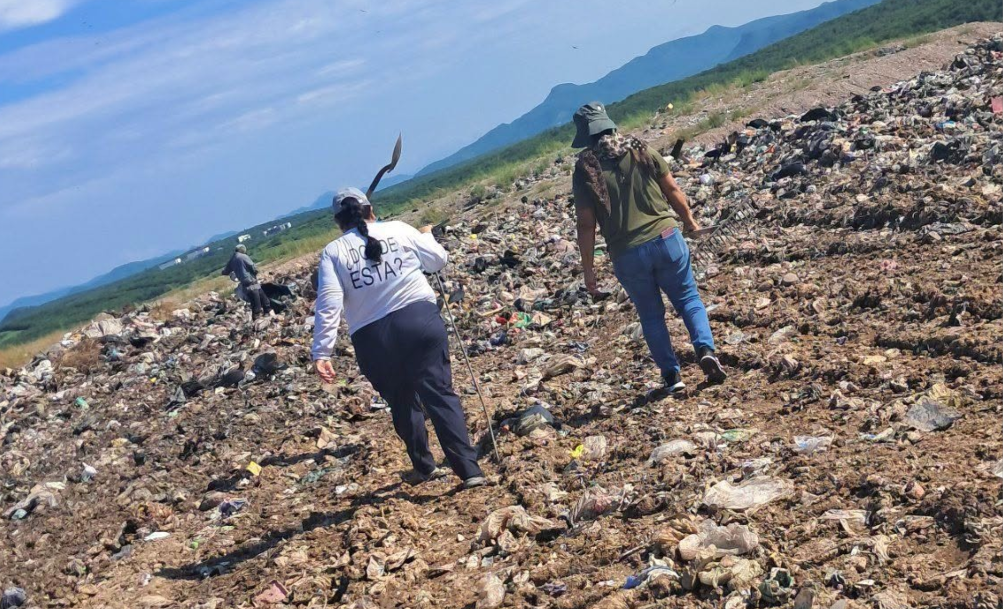Donde crecen plantas, puede haber una fosa: buscadoras así encuentran pistas en México